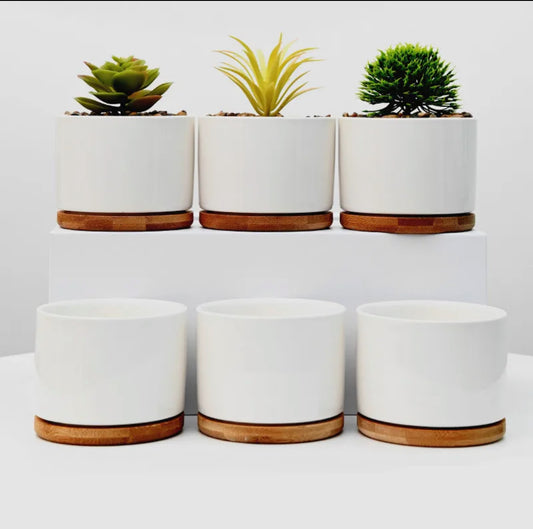 Mini Ceramic Pots -3 Pack