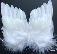 feather wings for crafting on black background